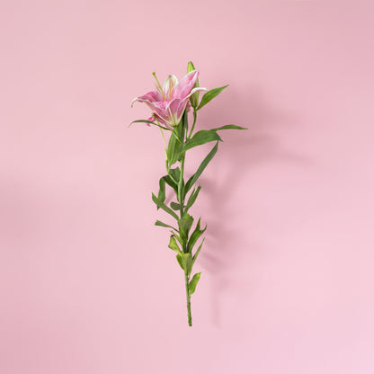 Premium single lily flower bouquet by MayakoBasket for delivery in Nepal